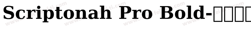 Scriptonah Pro Bold字体转换